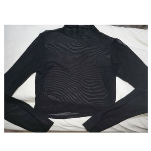 Shear Long Sleeve Cropped Top